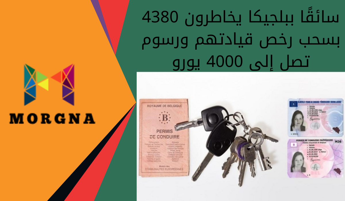 4380 سائقًا ببلجيكا يخاطرون بسحب رخص قيادتهم ورسوم تصل إلى 4000 يورو ...