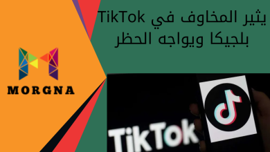 TikTok يثير المخاوف في بلجيكا ويواجه الحظر