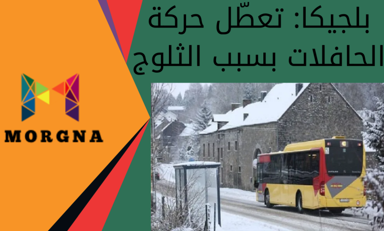 بلجيكا تعطّل حركة الحافلات بسبب الثلوج
