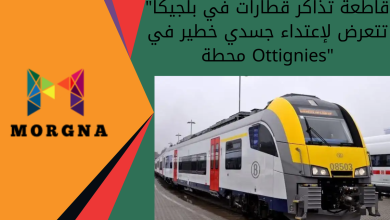 قاطعة تذاكر قطارات في بلجيكا تتعرض لإعتداء جسدي خطير في محطة Ottignies (1)