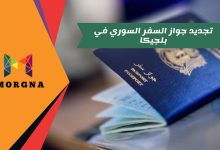 تجديد جواز السفر السوري في بلجيكا