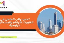 تحديد راتب العامل في الكويت الأرقام والإحصائيات الرئيسية
