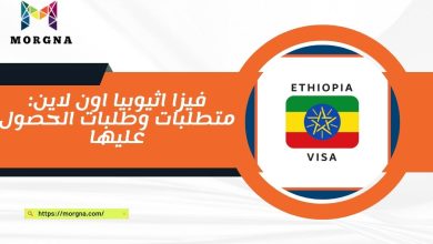 فيزا اثيوبيا اون لاين متطلبات وطلبات الحصول عليها
